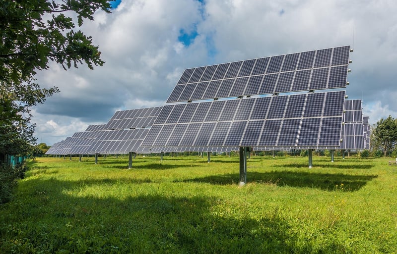 Sustainability Consultant